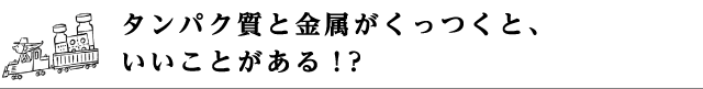 タンパク質と金属がくっつくと、いいことがある！？