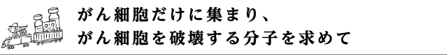 がん細胞だけに集まり、がん細胞を破壊する分子を求めて